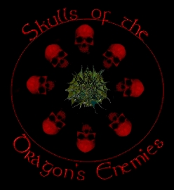 skulls of enemies.jpg (35400 bytes)